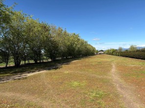 Jardín